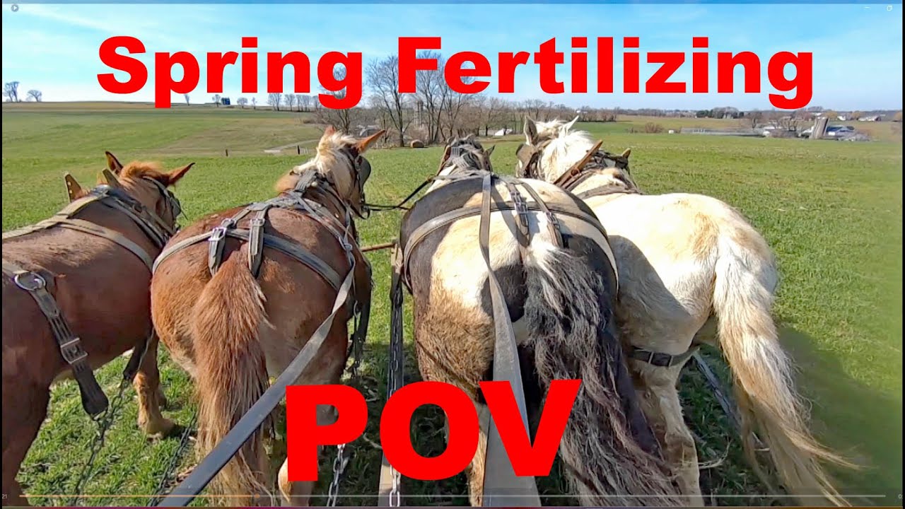 Spring Time Fertilizing With HORSES in AMISH LAND Point of View Lancaster County, Pennsylvania