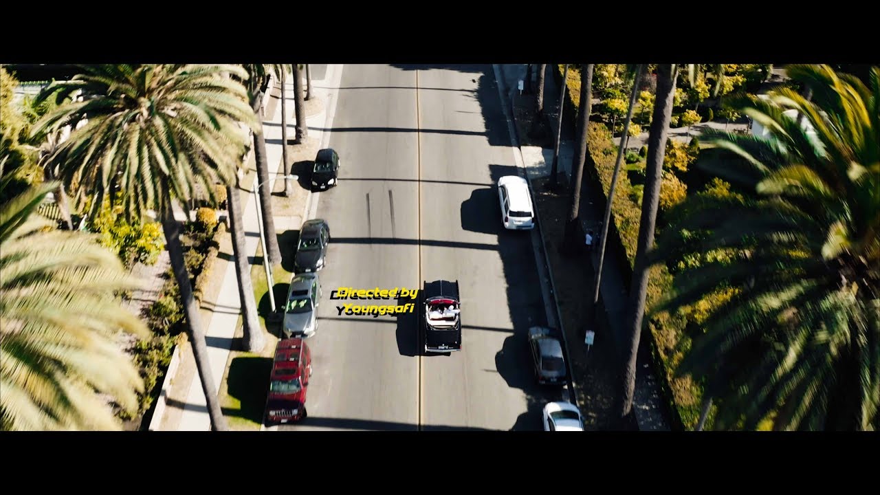 Palm Trees  music video by Big Oz | paid | Sony a 7r3 | mavic pro 2