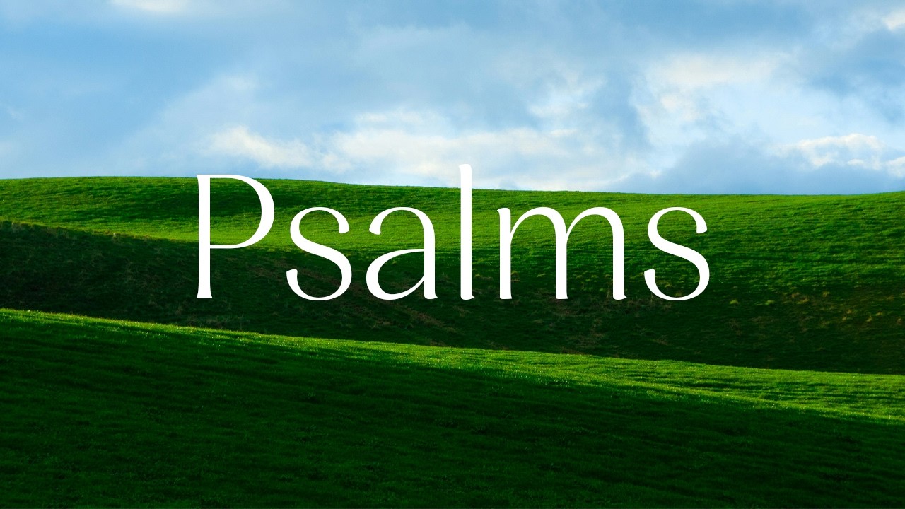 Where Is Your Security? | Psalm 49