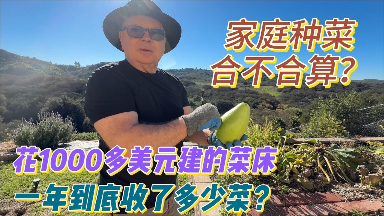 去年花1000多美元建成的菜床，一年到头到底收了多少菜？家庭种菜到底合算不合算？