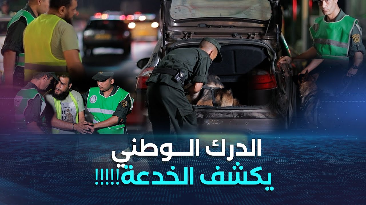 محمّل بكمية كبيرة من المخدرات بلا ما يعرف😱.. الدرك الوطني يوقف صاحب الديباناج بعد ما طاح في الفخ 😳