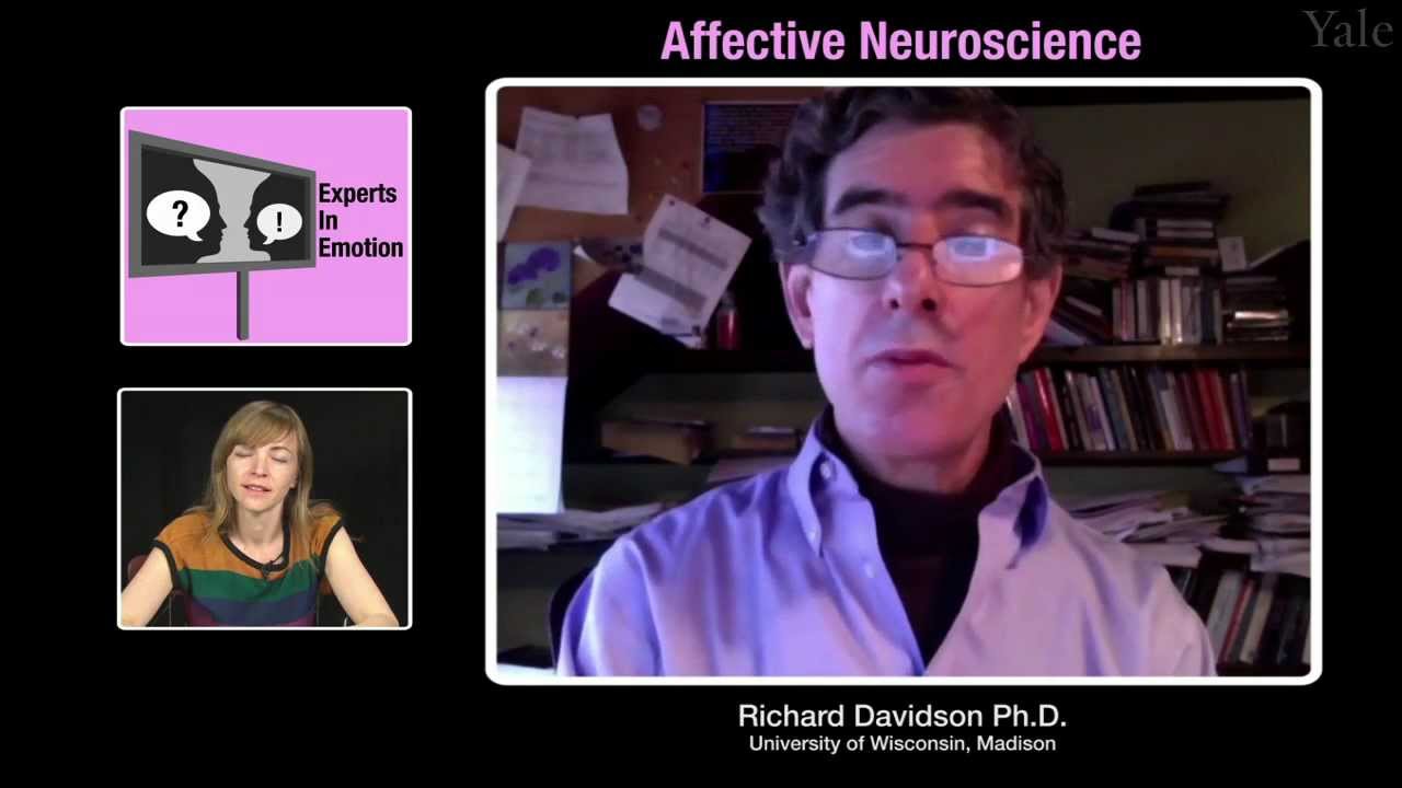 Experts in Emotion 8.1 -- Richard Davidson on Affective Neuroscience
