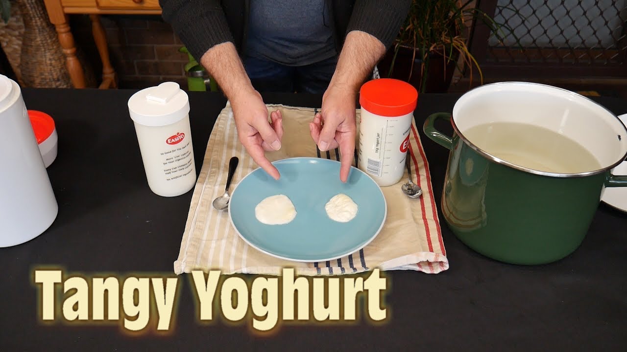 How to Make Tangy Yoghurt