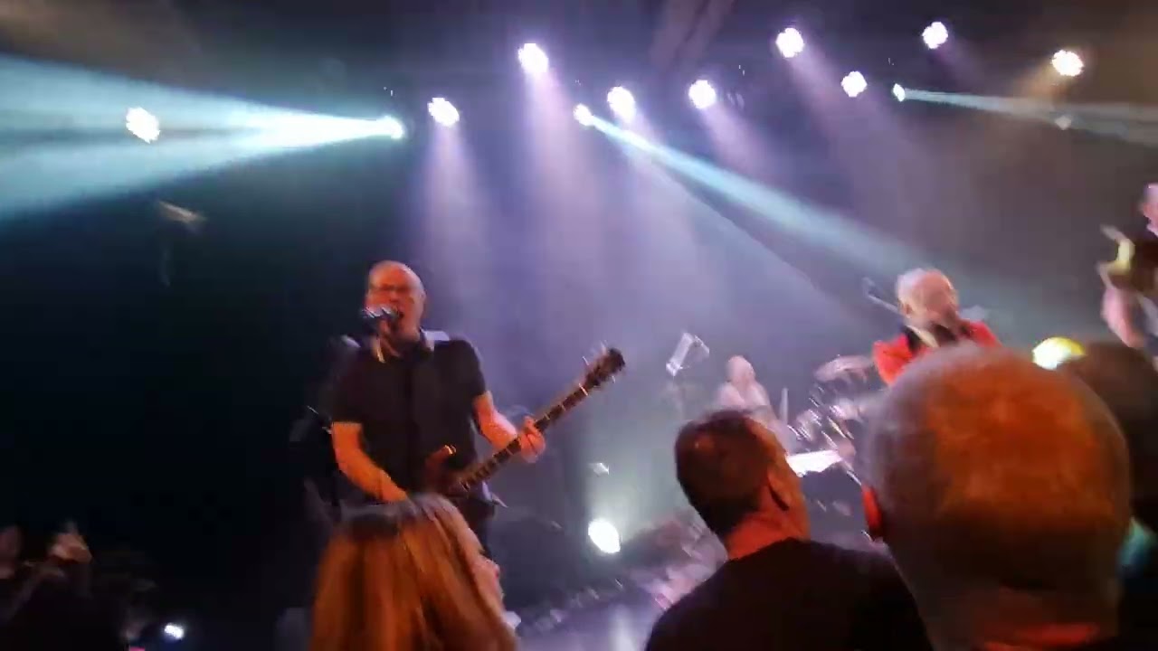 SURVET SKIN  - Working Class Heroes ( 8'6 CREW Cover) - 10/01/26 La Marbrerie Montreuil 🤘☠️