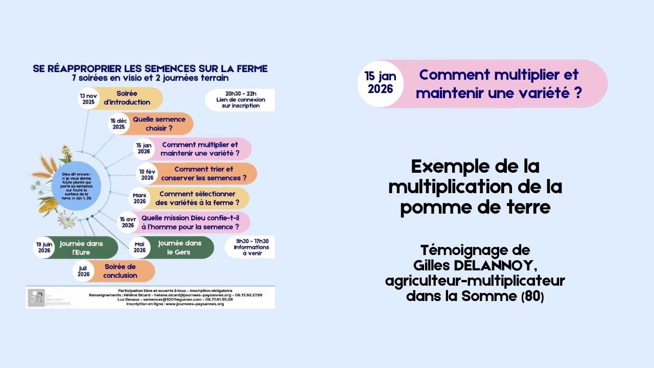 [Cycle de conférences semences - 3] La multiplication des plants de pommes de terre