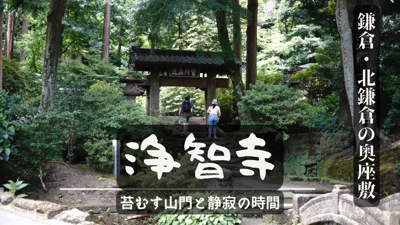 【鎌倉・浄智寺】苔むす山門と静寂の竹林｜北鎌倉ぶらり旅 #鎌倉 #浄智寺 #北鎌倉#鎌倉ぶらり旅 #Vlog #寺巡り#鎌倉観光 #癒し旅 #竹林#日本の風景 #鎌倉五山 #布袋尊 #kamakura