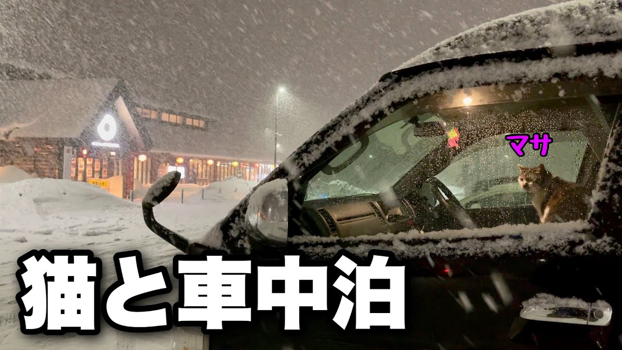 Кошка и автомобиль в снежной стране｜Вождение по суровым зимним горным дорогам