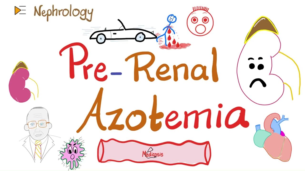 Prerenal Azotemia - Acute Renal Failure - Acute Kidney Injury (AKI) - Pathology - Nephrology Series