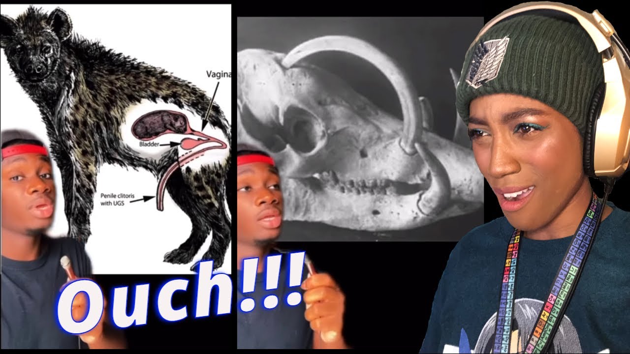 The Dark Side!!!...Pre-Med Major Reacts to Animals that Got the Middle Finger from Evolution