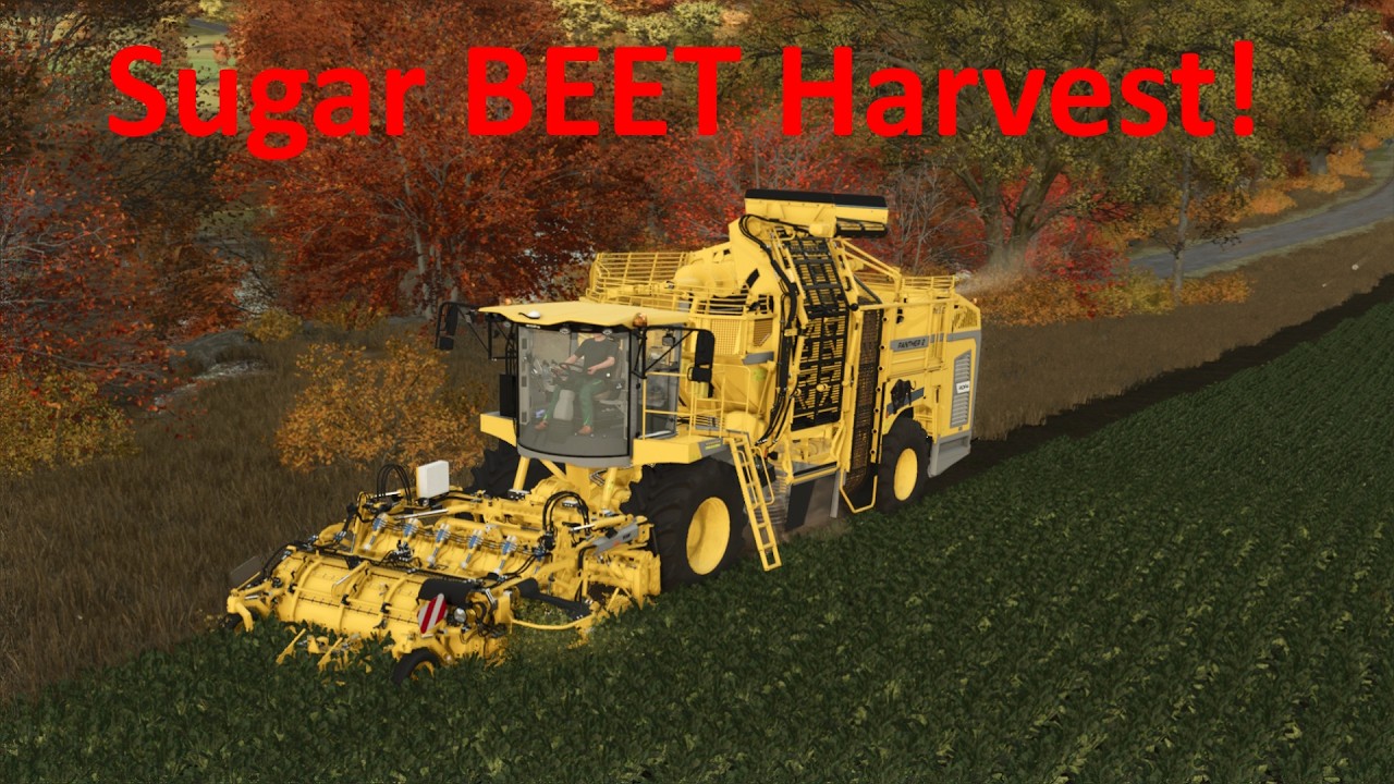Sugar BEET Harvest! 🔥🚜l Riverbend Springs Timelapse FS25 l Ep.156