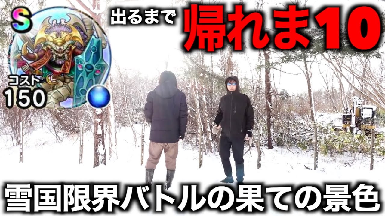 この日を待ち侘びて７日間！決意のガナサダイS出るまで帰れま10【ドラクエウォーク】【ドラゴンクエストウォーク】