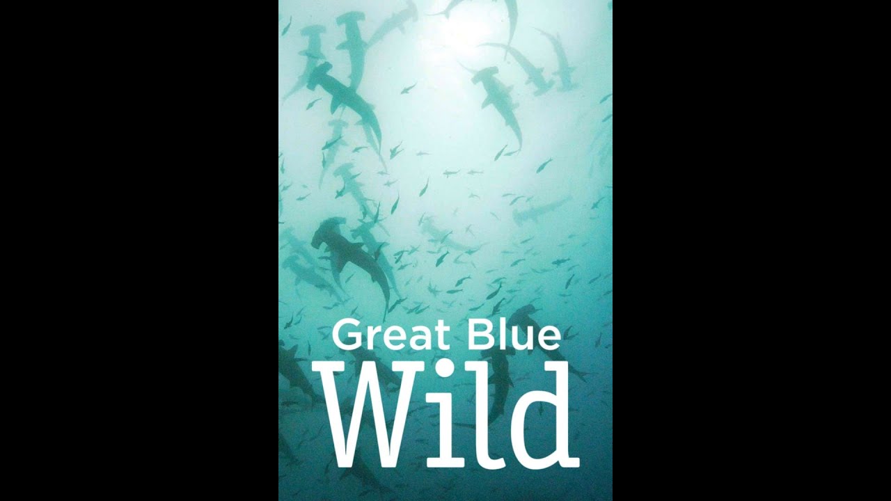 Great Blue Wild S01E06 Bahamas 720p 10bit WEBRip x265 budgetbits