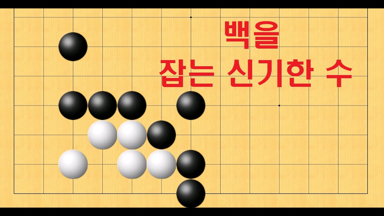바둑 묘수 사활 156 백을 잡는 신기한 수는 어디일까요?