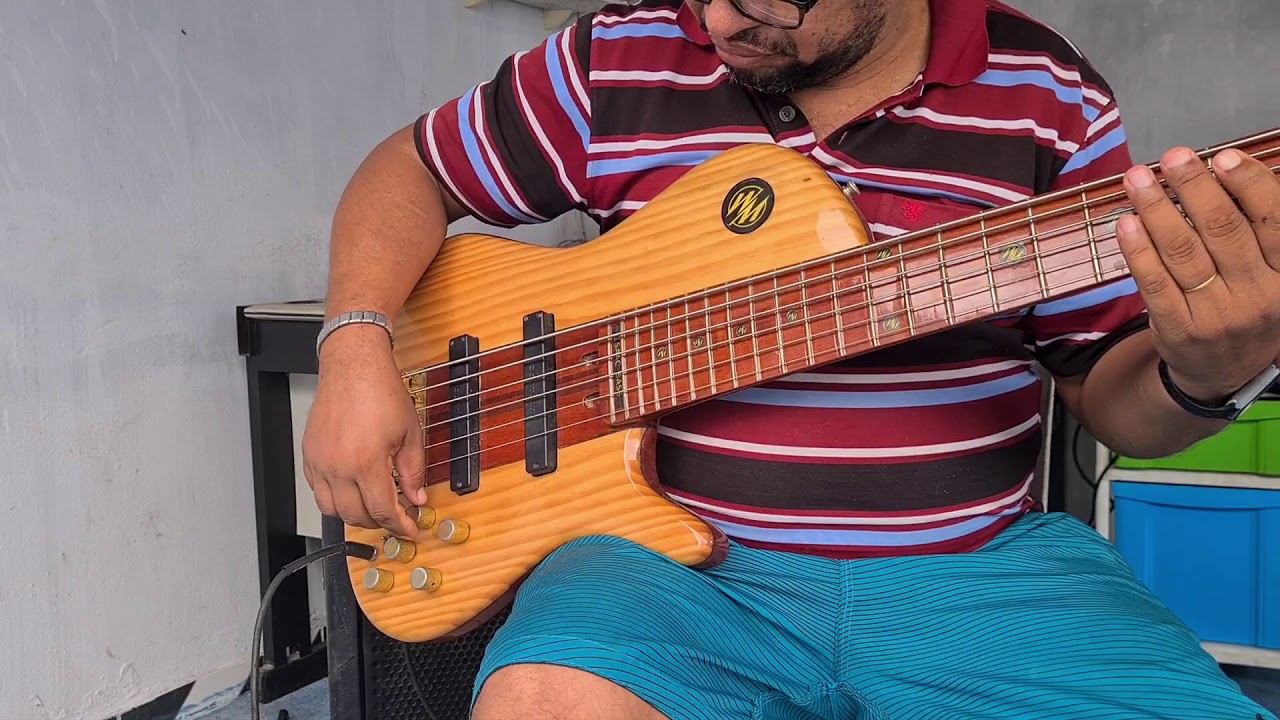 Baixo WM modelo fodera  caps bartolini  pre tb tech prodigy