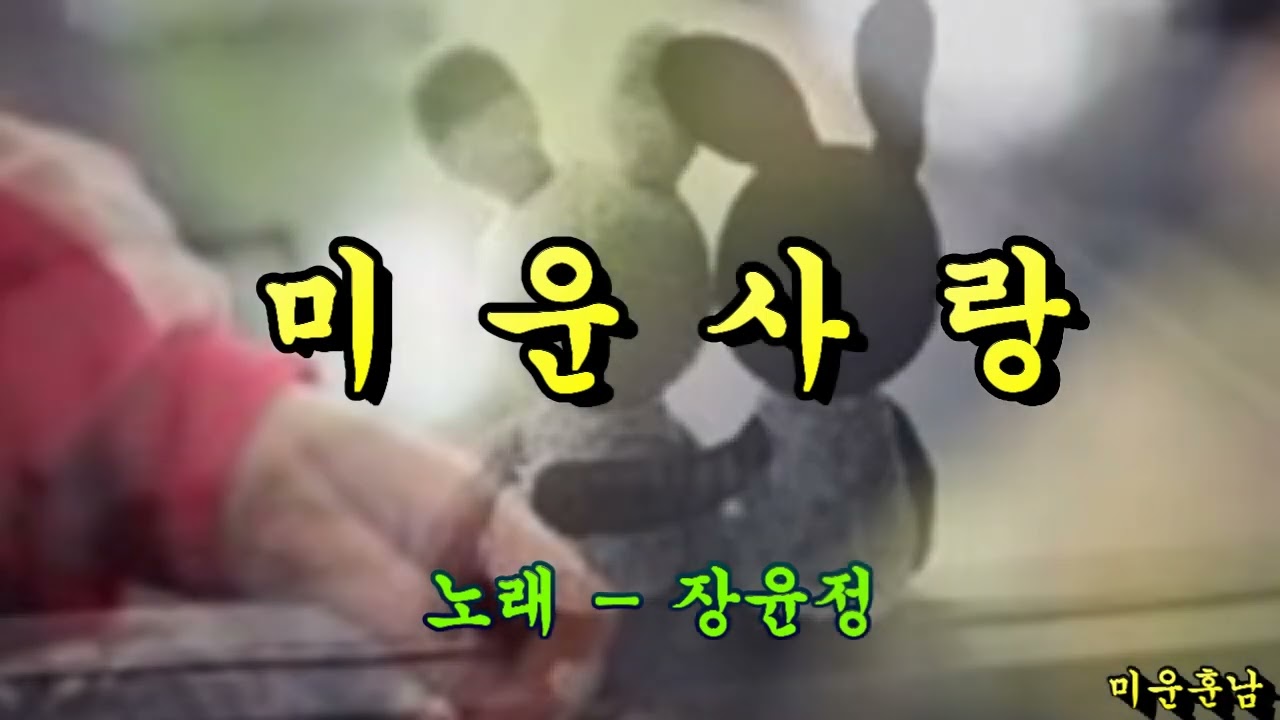미운사랑  -  장윤정