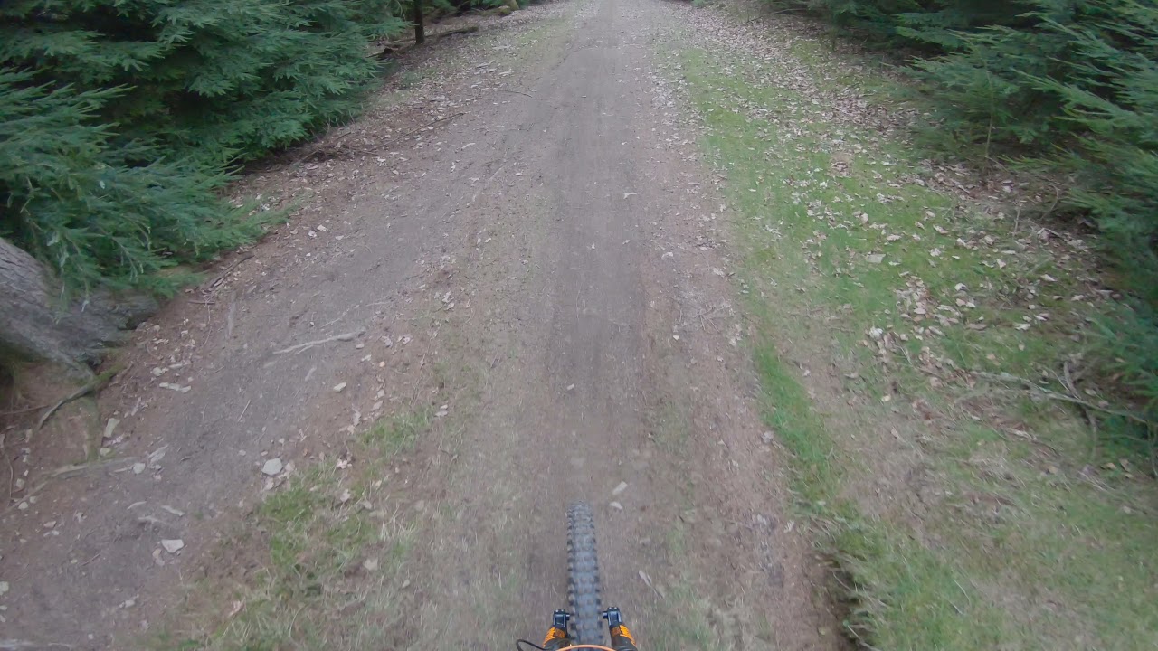 Bucknell DH track virgin run