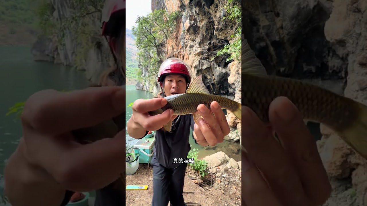 喀斯特秘境中解锁稀有鱼种，这怎么得了。