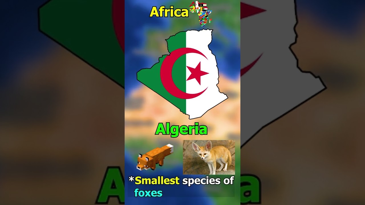 Did you know in Algeria.....