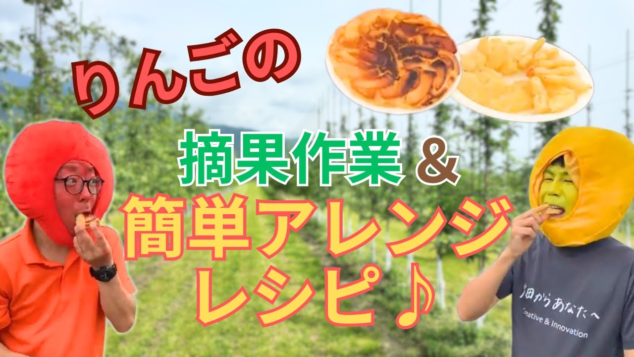 【今が旬🍎絶賛販売中！】ヴェルジェりんご3兄弟登場！｜長野県宮田村より🍎