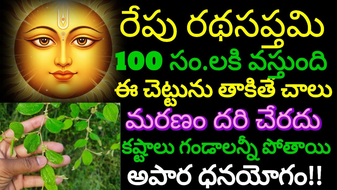 # జనవరి 25 రథ సప్తమి రోజు ఈ చెట్టును తాకితే చాలు మీ ఇల్లంతా డబ్బే డబ్బు