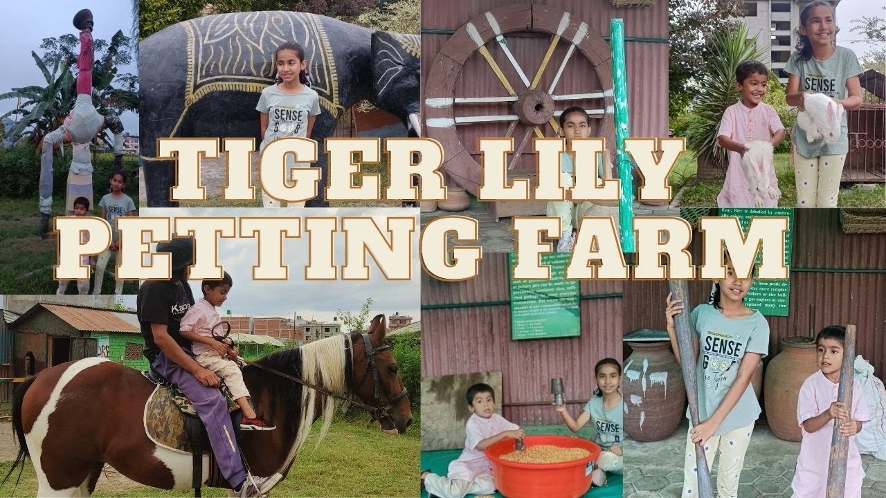 Tiger Lily Petting Farm | Kids Learning and Refreshment Destination | Bhaktapur