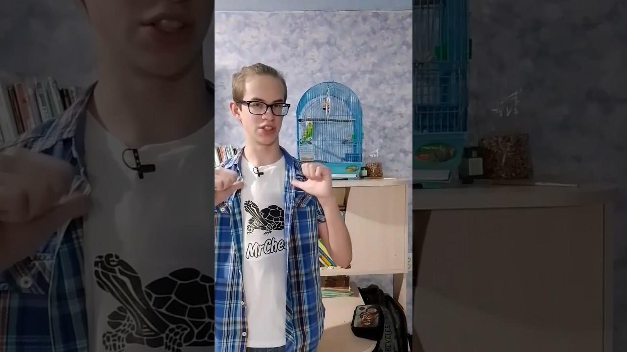 ВЫПУСТИЛ ПОПУГАЯ! 🦜 #Shorts