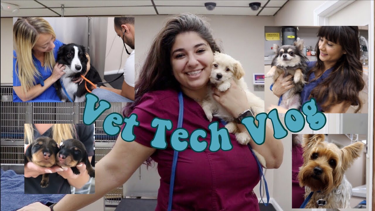 Day In The Life of a Vet Tech | Vet Tech Vlog | Veterinary Technician