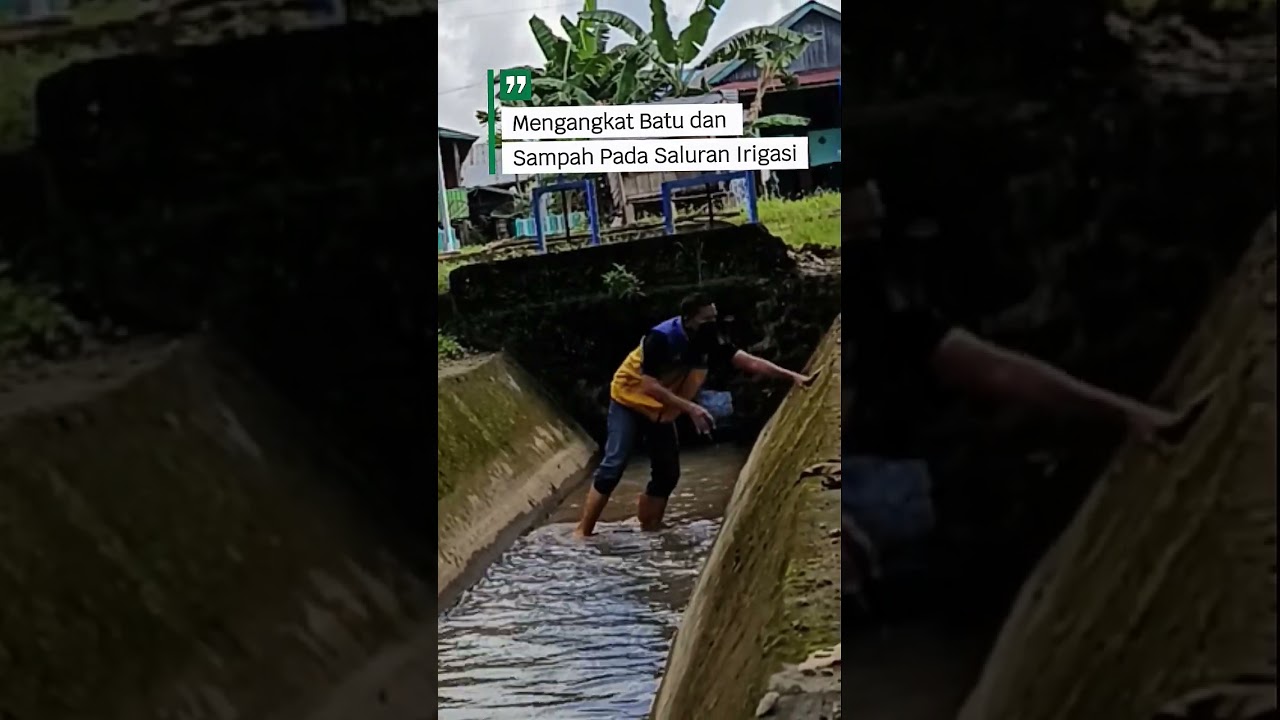 Mengangkat Batu dan Sampah Pada Saluran Sekunder Parippung