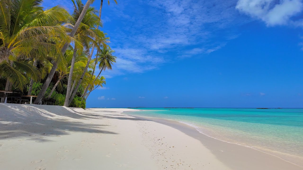 Paradise Found: Ocean and Wild Beach! Maldives 4K ULTRA HD