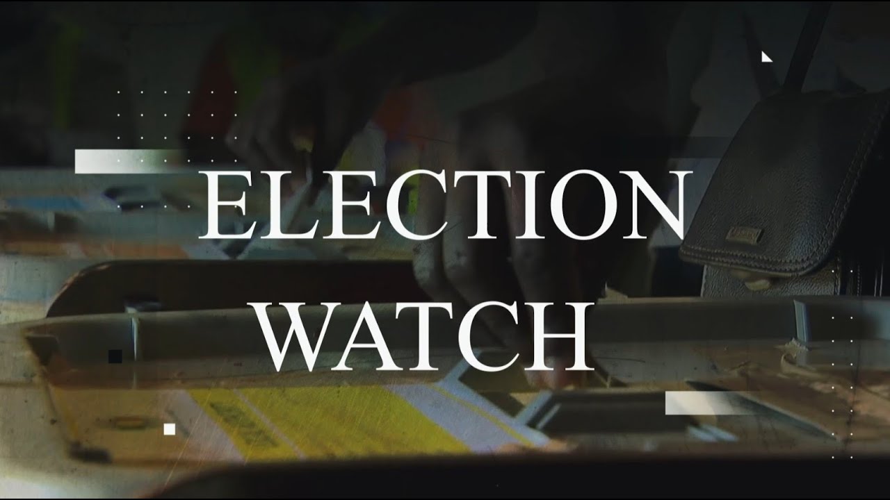 The regression of women's participation in Zimbabwe politics - #ElectionWatch