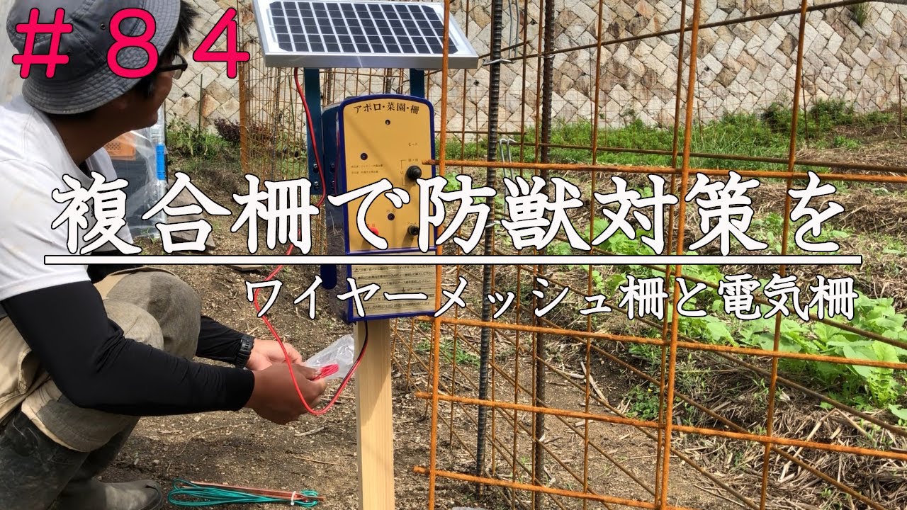 【開墾】電気柵とワイヤーメッシュで自然農畑を守る｜複合柵