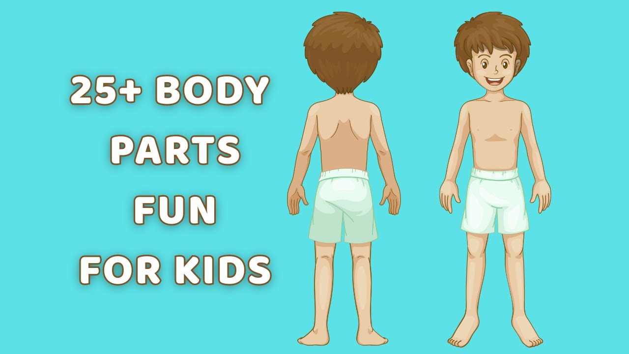 Guess the Body Parts | Fun Learning for Kids | Preschool Body Parts Game | Muddy Petals Studio