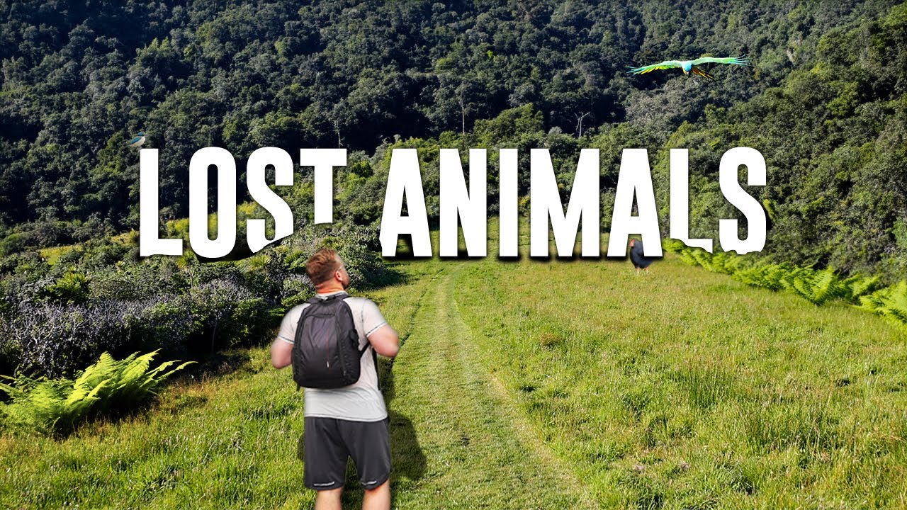 Searching Tiny New Zealand Island For Extinct Animals