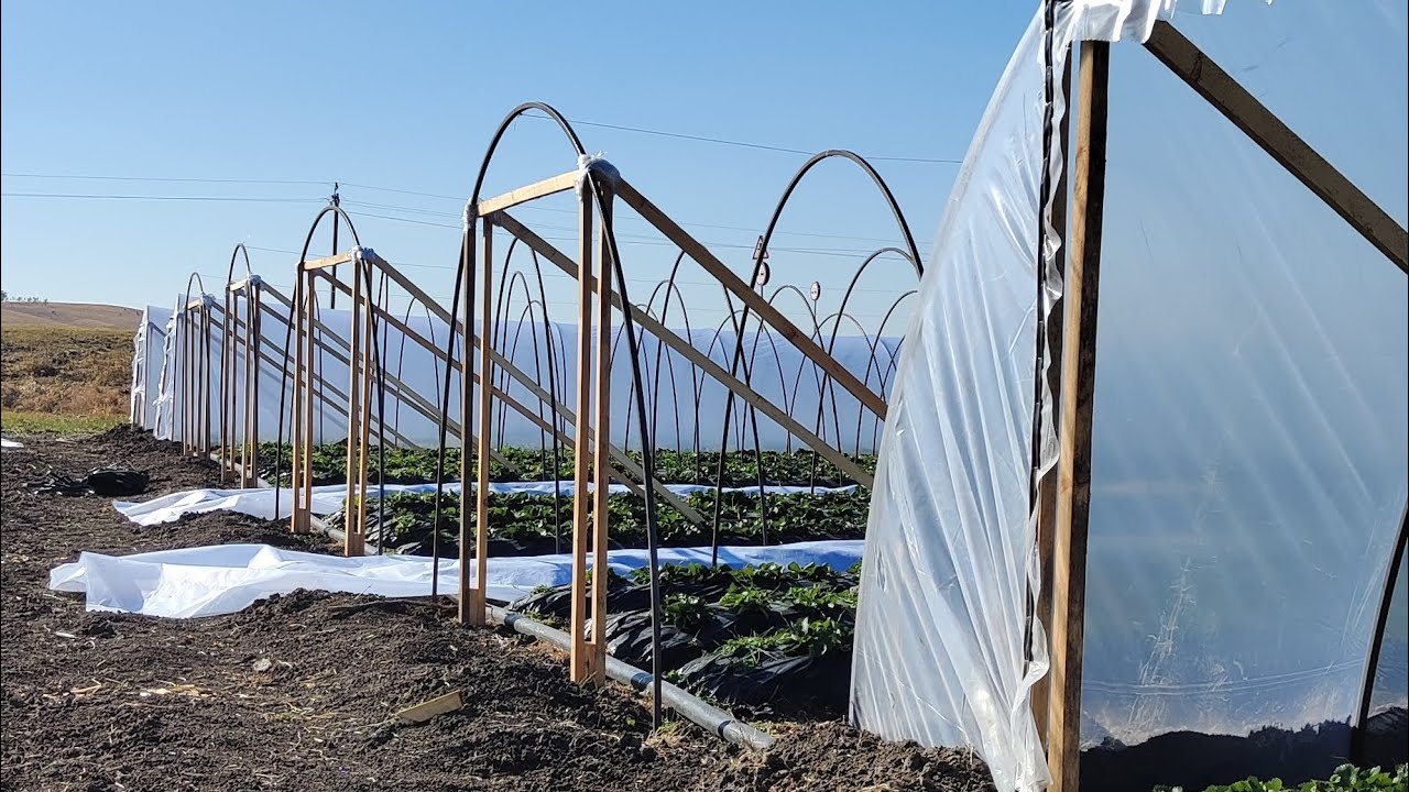 Монтаж парников (балаганов) для клубники 🍓🍓🍓🍓