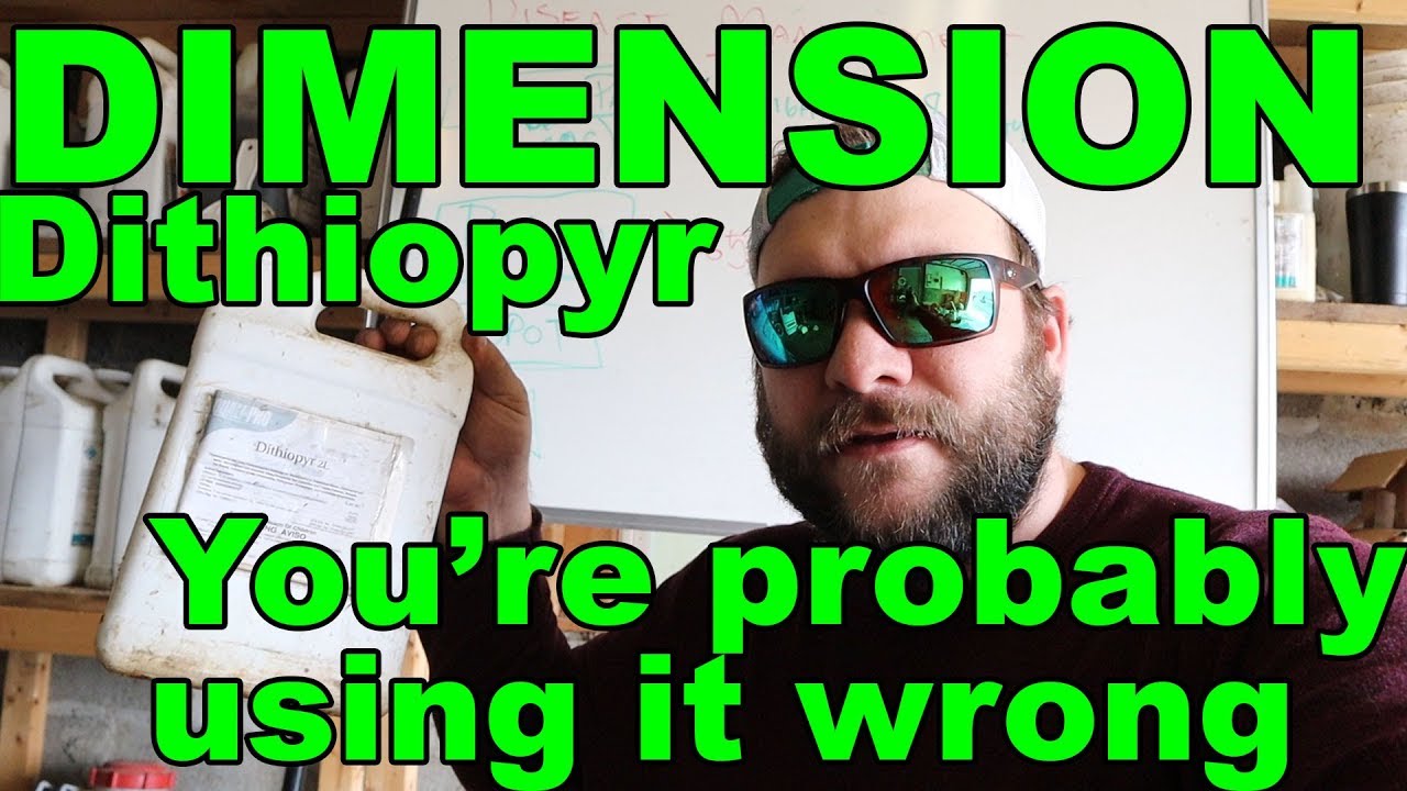 Dimension/Dithiopyr - You're probably using it wrong