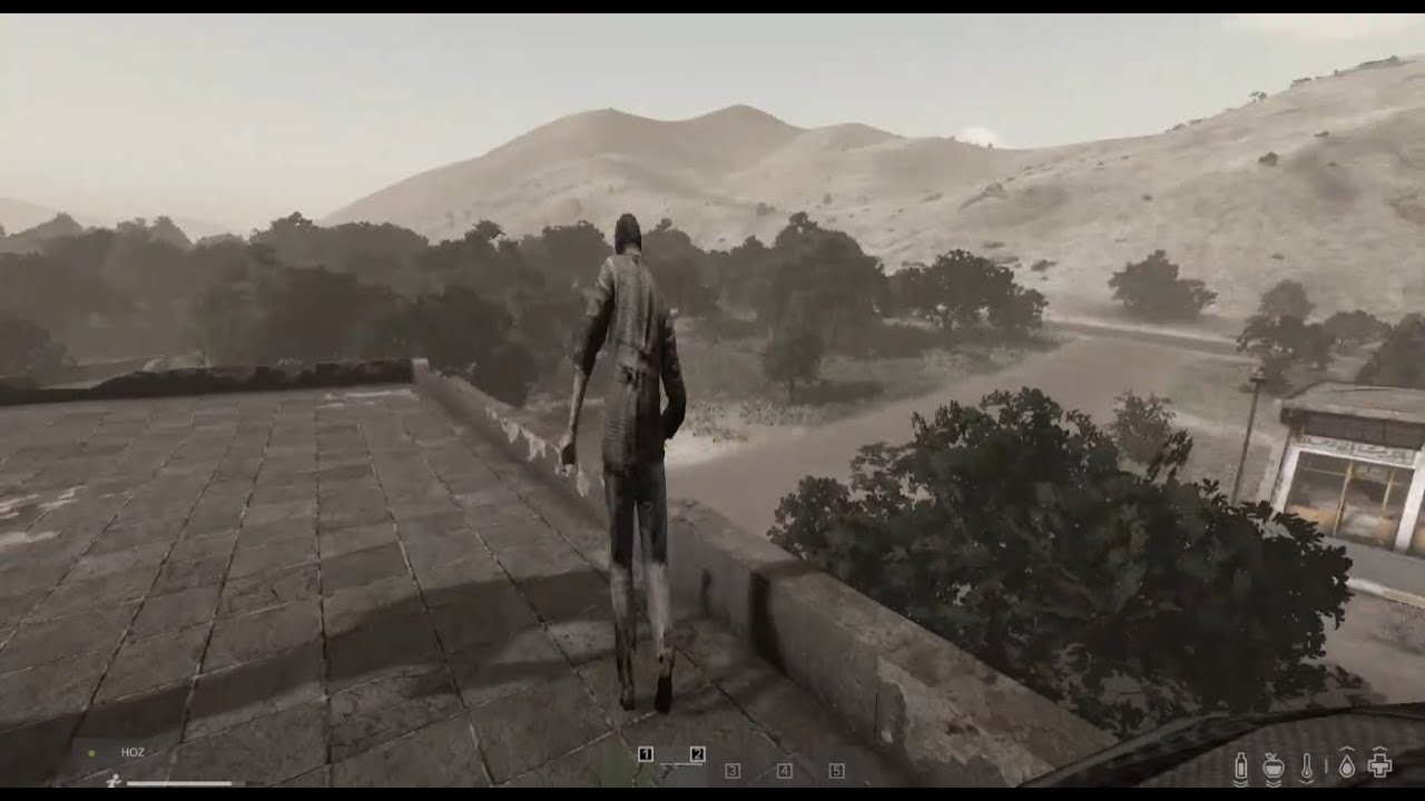 Zombie goes to 2D in DayZ - DayZ Vanilla