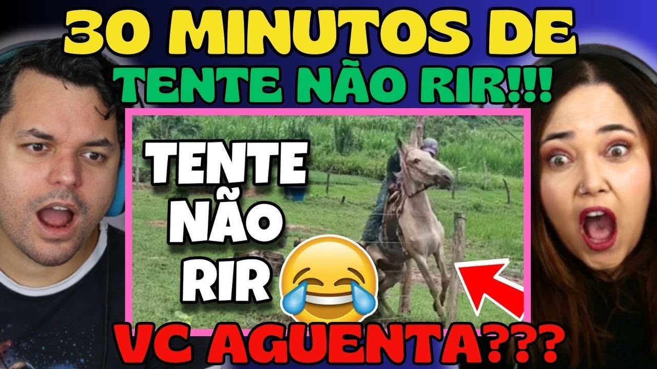 30 minutos de TENTE NÃO RIR: OS MELHORES VÍDEOS DA INTERNET ‹ REACT ›