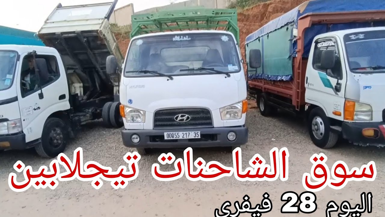 سوق الشاحنات اليوم 28 فيفري 2026 سوق تيجلابين شاهد الفيديو 