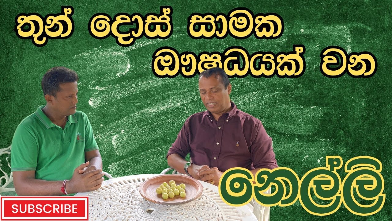 වා පිත් සෙම්  රෝගයට දිව්‍ය ඖෂධය මෙන්න.. | Nelli | Phyllanthus emblica