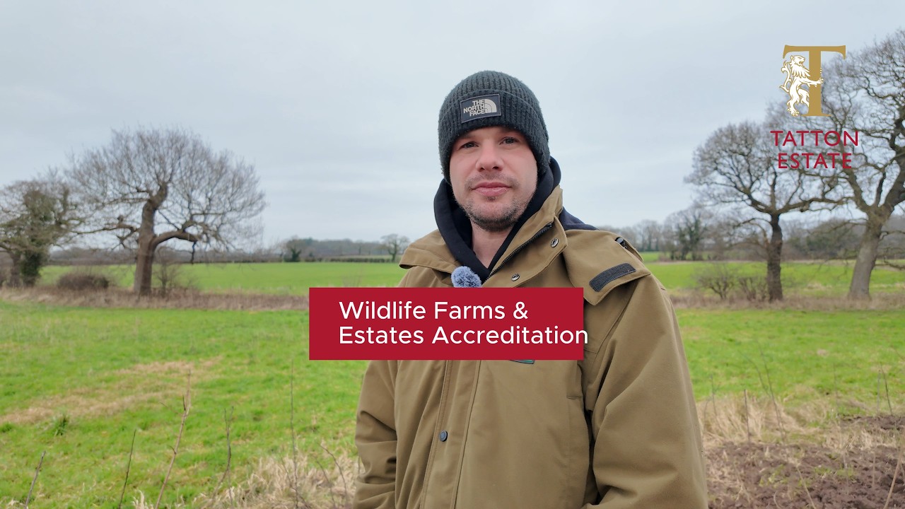 Working Towards Wildlife Estates Level 2 Accreditation | February Update