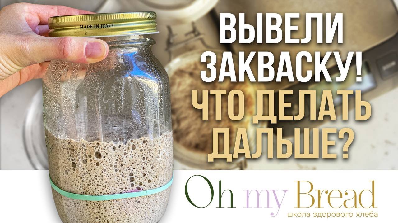 Вывели закваску! Что делать дальше?