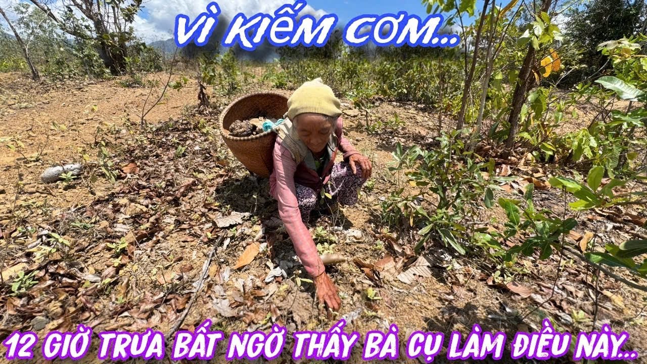 Vào RỪNG hoang vắng 12 giờ trưa BẤT NGỜ thấy bà cụ làm điều này để KIẾM CƠM../485