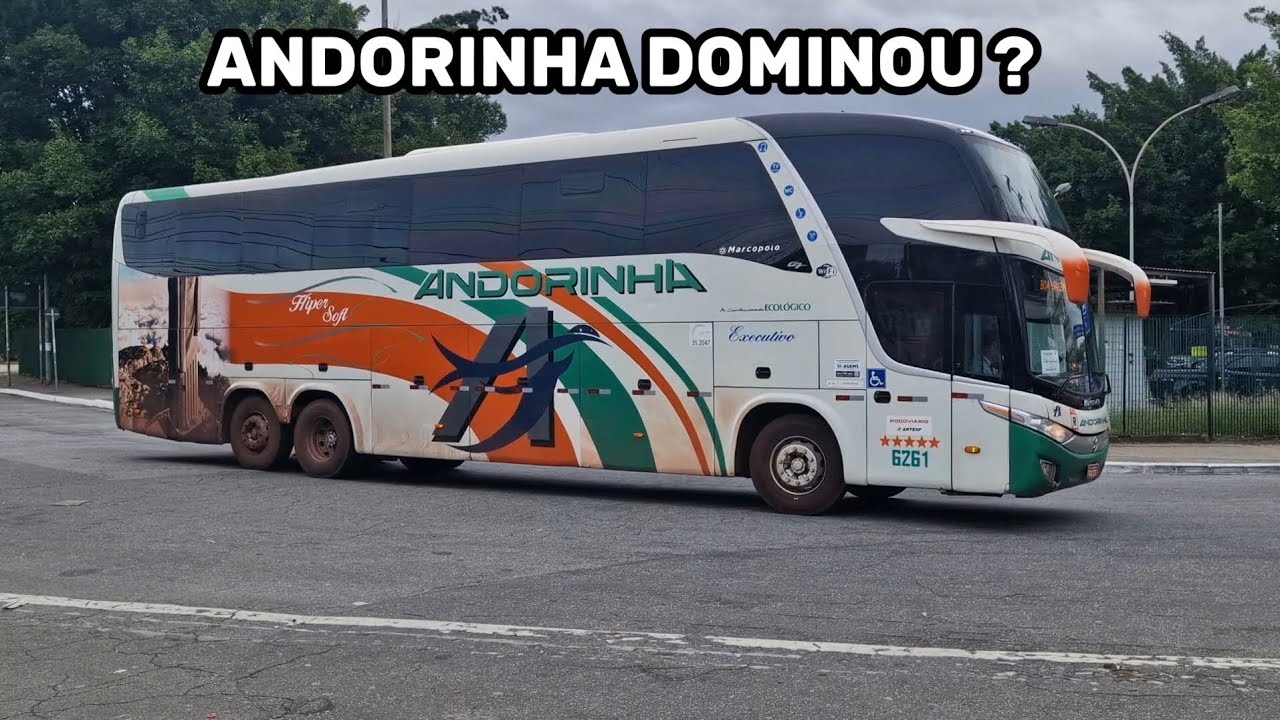 VÁRIOS ÔNIBUS DA ANDORINHA ! MOVIMENTO DE ÔNIBUS NA RODOVIÁRIA DA BARRA FUNDA ( SP )