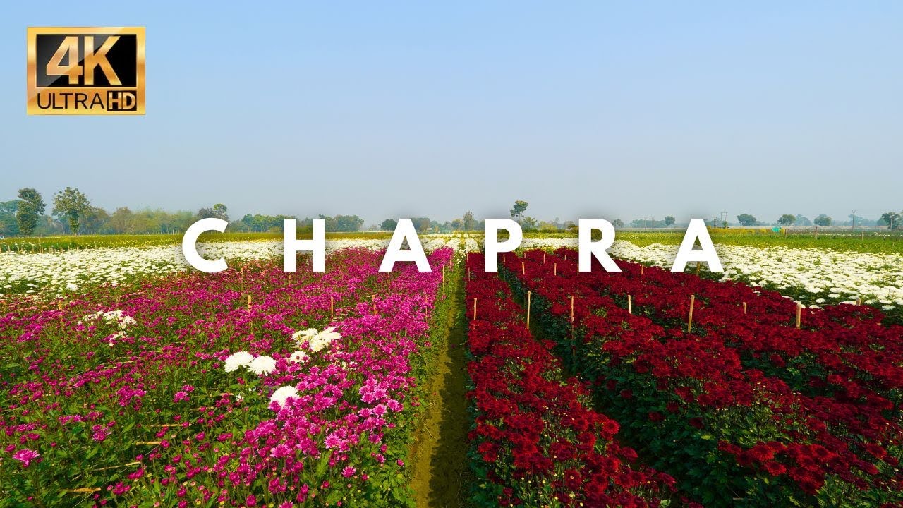 Colors of Ranaghat 🌸 | Chapra Flower Valley Cinematic Vlog [4K]