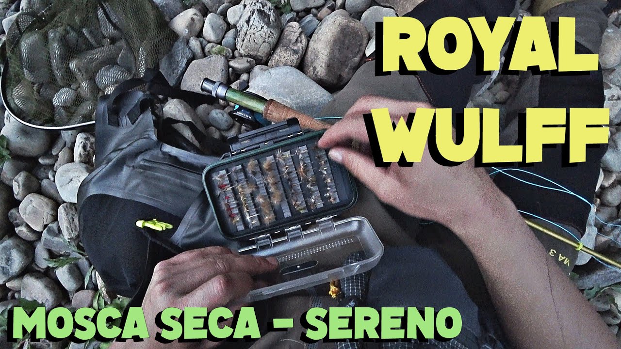 La MAGIA de los SERENOS [6 lances/3 TRUCHAS] - Mosca SECA.