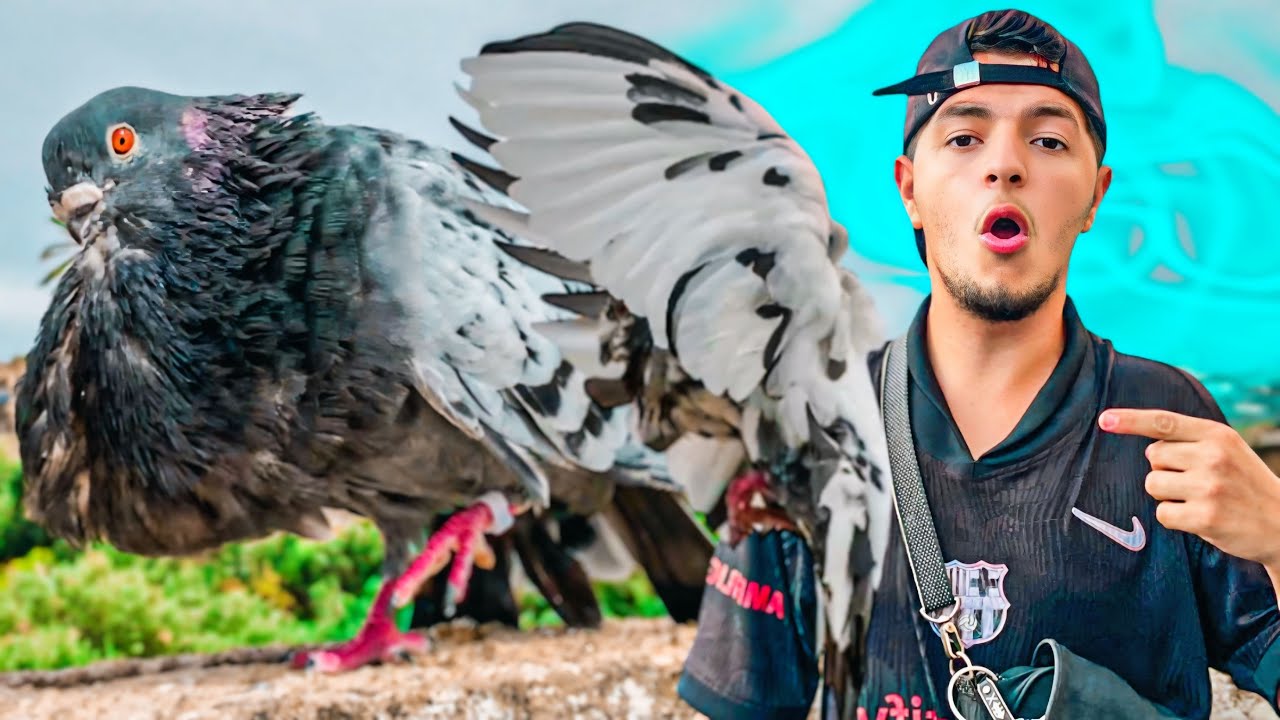 توليعة عند حمام سيفيان في حمام القديم 🔥 زريقة مهند كحلوش … 🤯