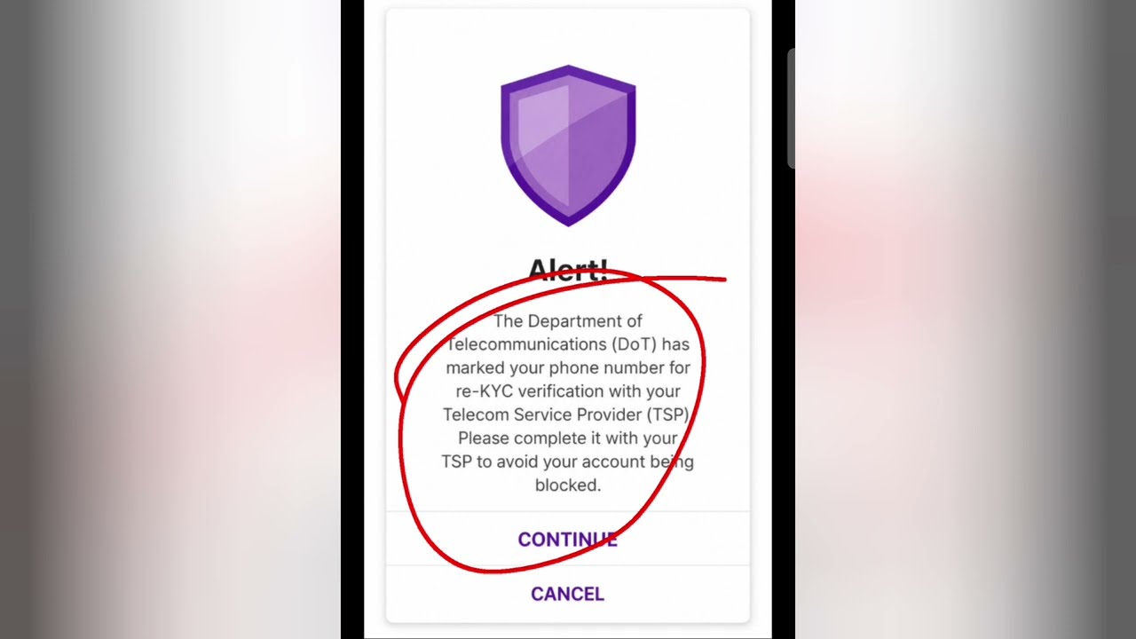 The department of telecommunications has marked your phone number Phonepe alert kya hota hai matlab