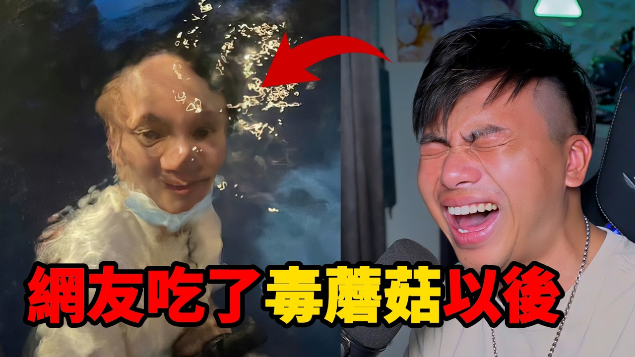 「梗文梗圖系列45集」三度笑得最累的一集，網友分享的毒蘑菇體驗太誇張！