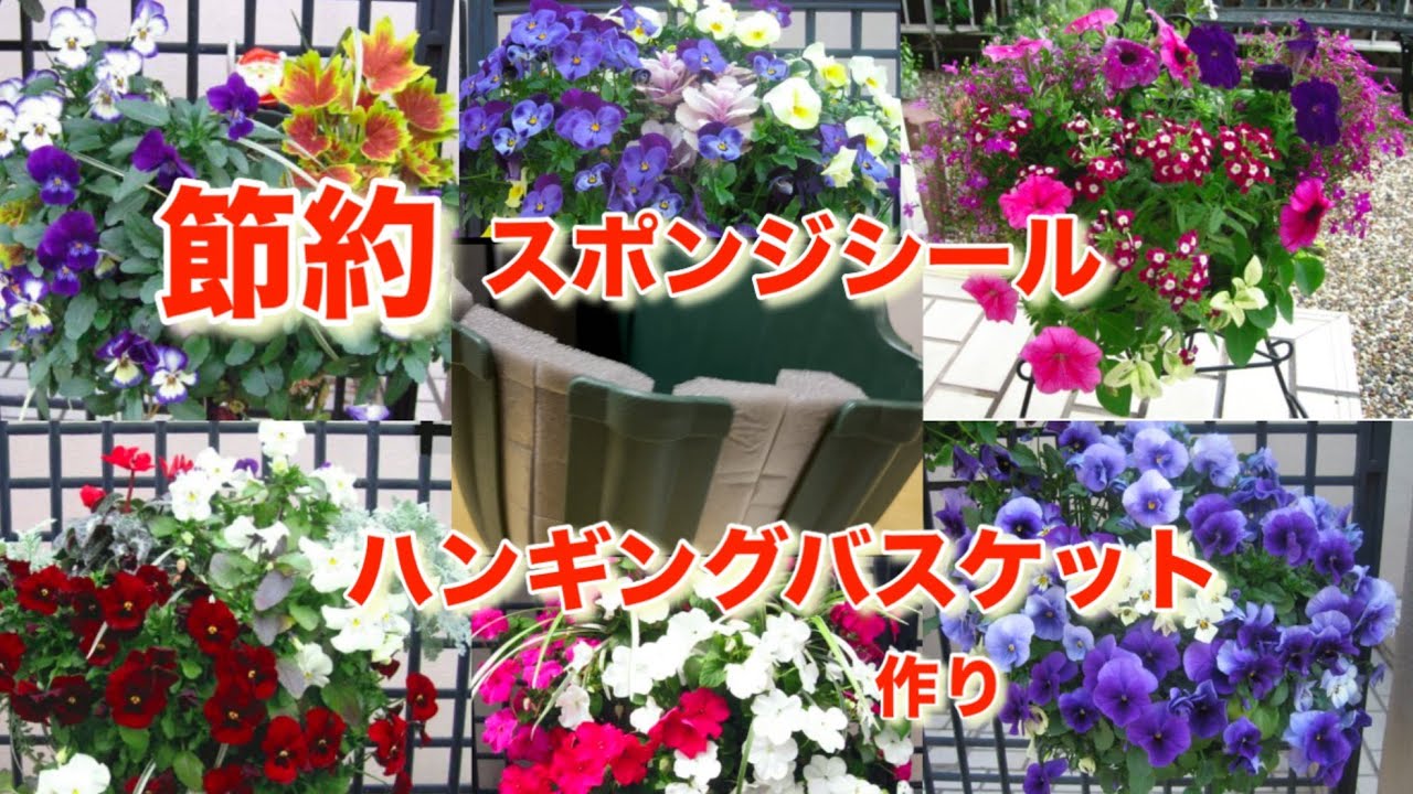 スリットシールをお安くDIY/見切り品ビオラのハンギングバスケット作り