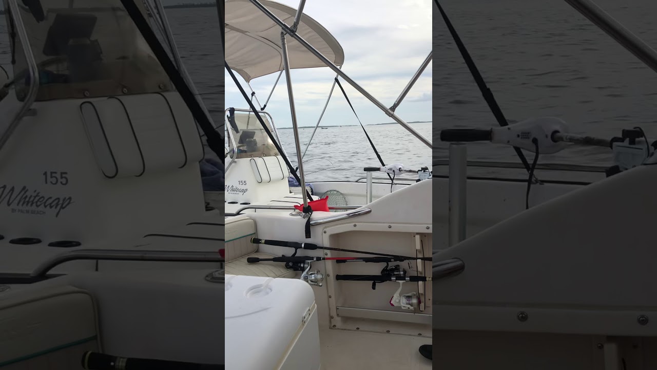 St Joe Bay Scalloping